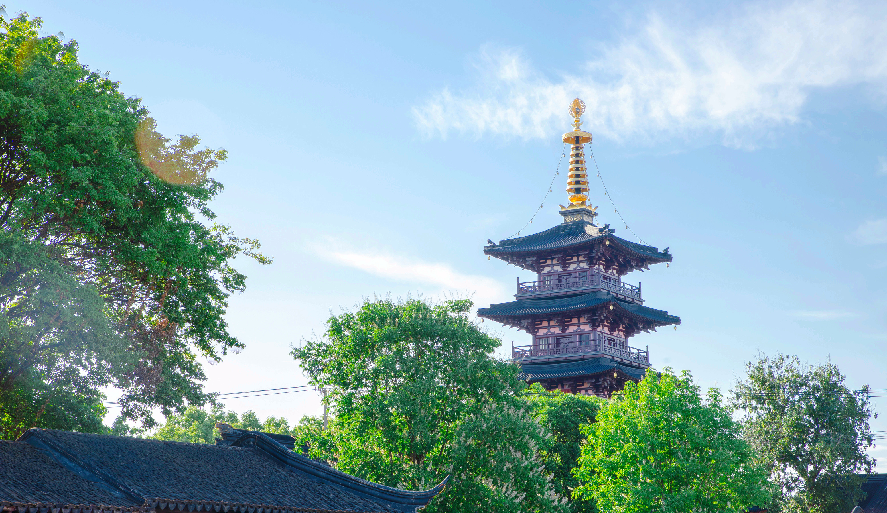 0104h12000f6trp9k1F94